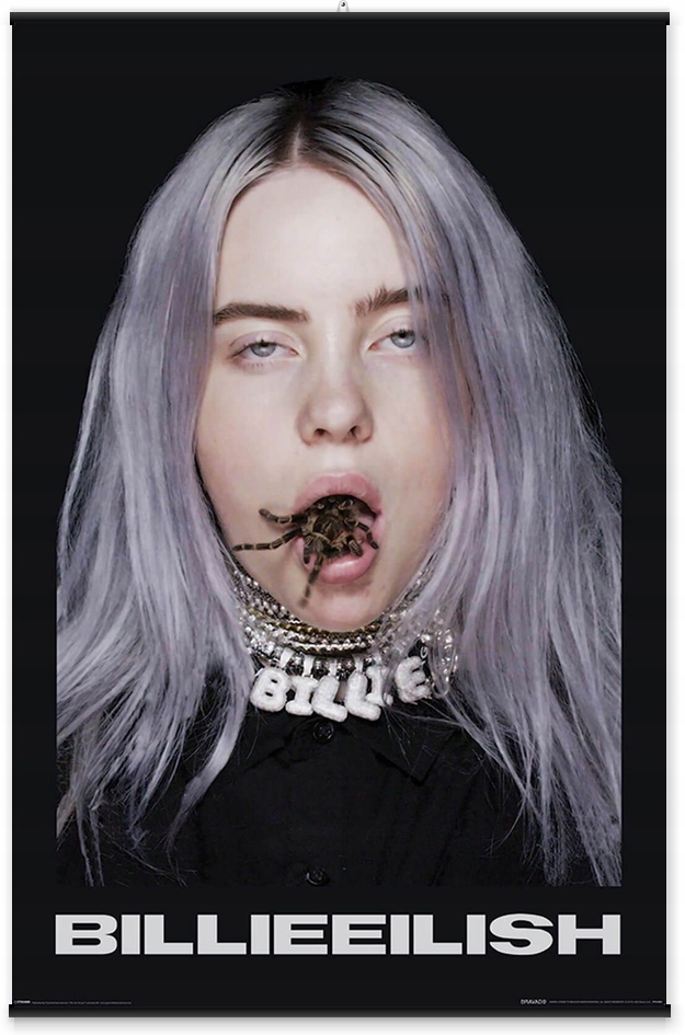 Купить Billie Eilish Spider Pajak Большой постер 61x91,5 см: отзывы, фото, характеристики в интерне-магазине Aredi.ru