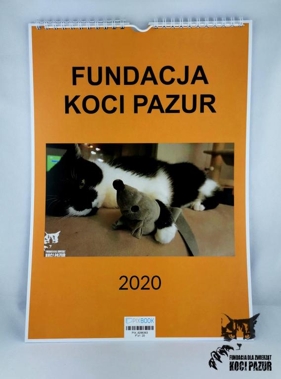 Kalendarz 2020 podopiecznymi Fundacji Koci Pazur 2