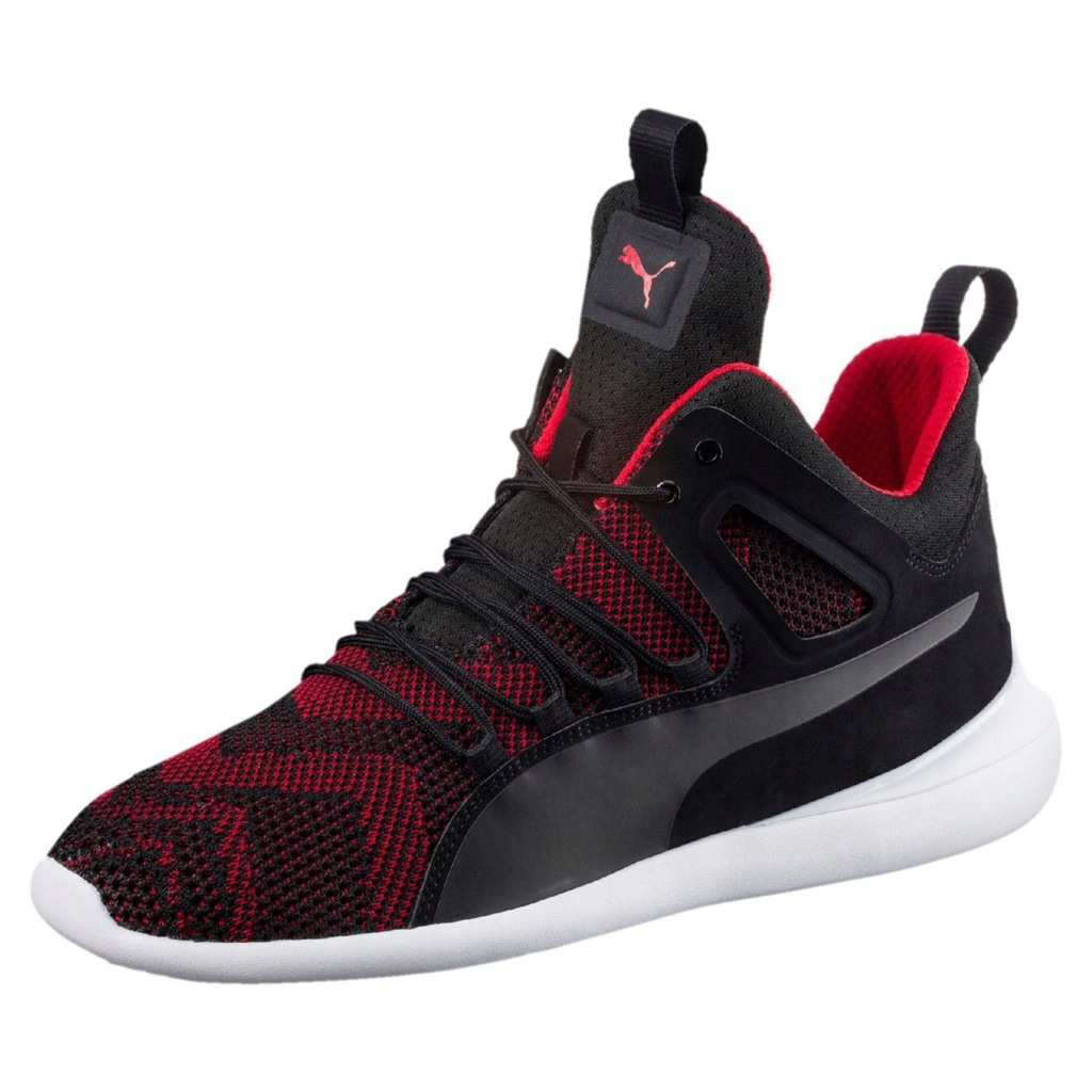 puma ferrari evo cat