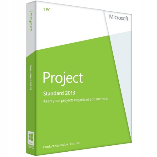 Microsoft Project Standard 2013 Windows 10