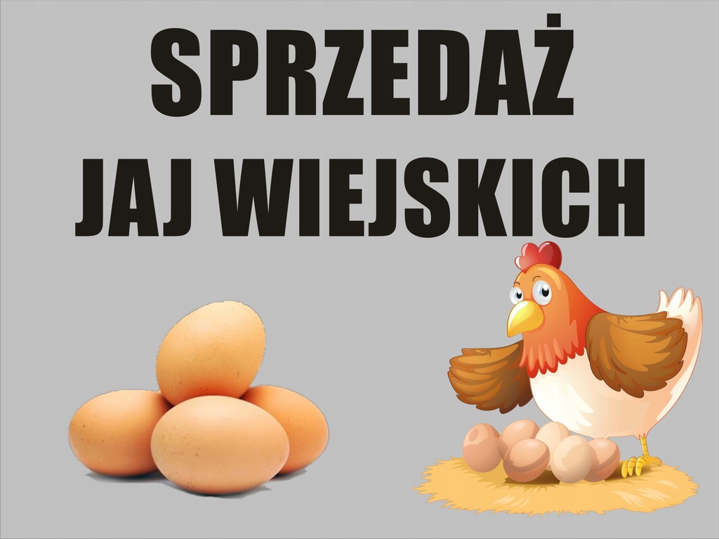 TABLICZKA - SPRZEDAŻ JAJ WIEJSKICH - 40X30 CM