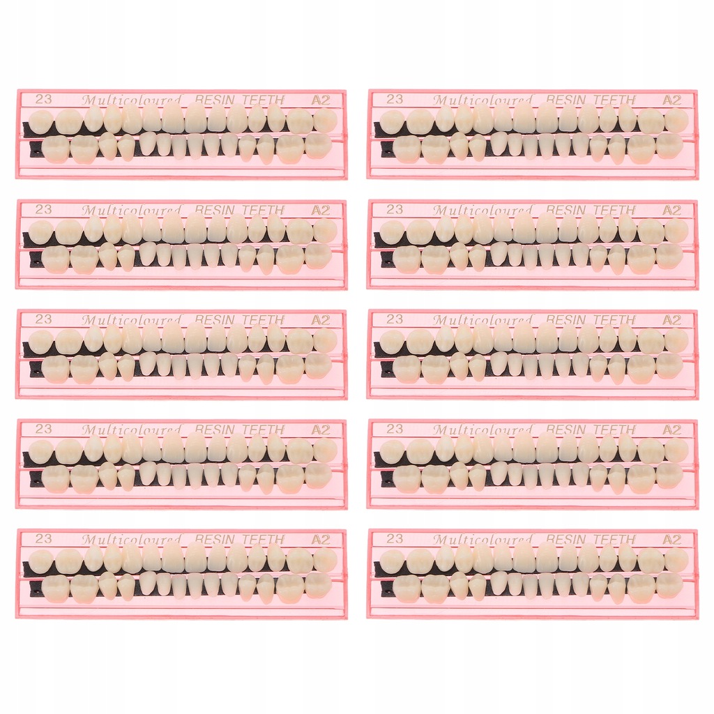 1 Zestaw Demonstracyjny model zębów Standardowe
