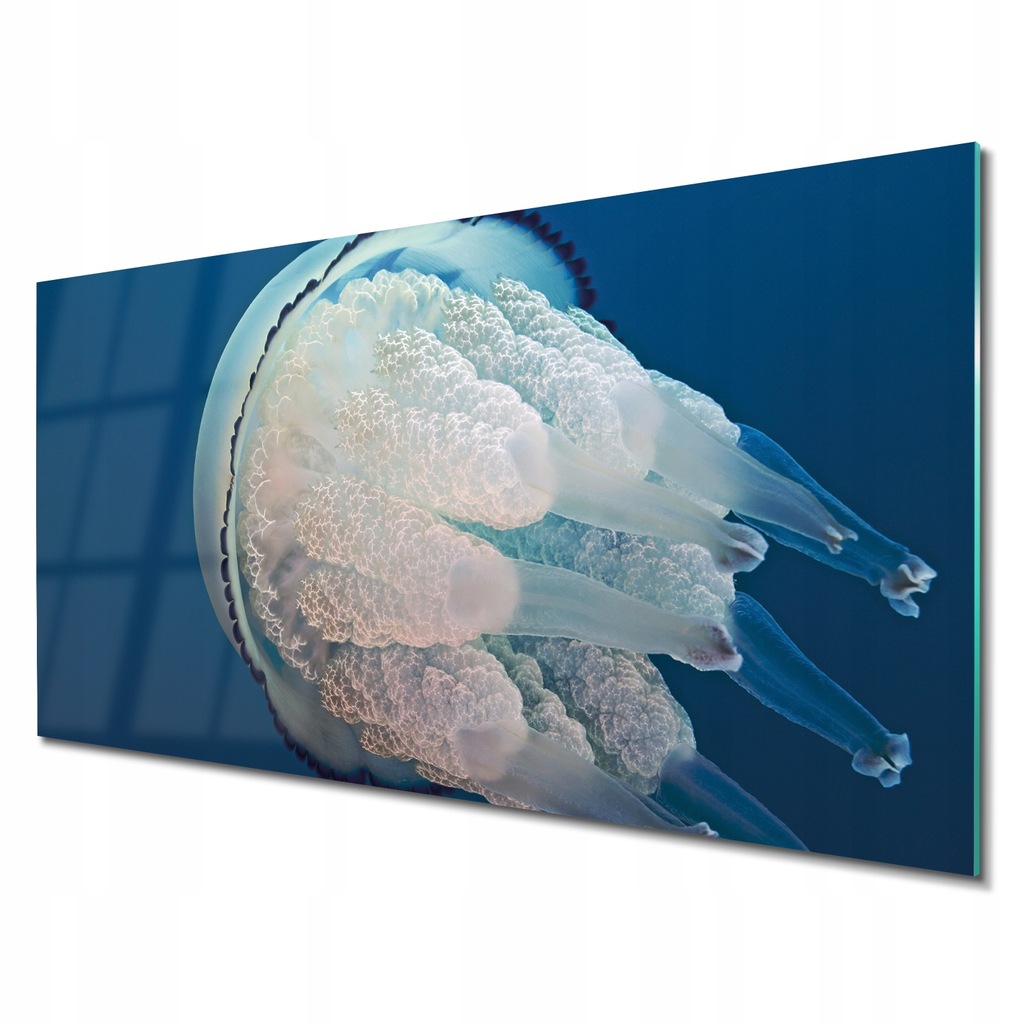Foto szklane do łazienki Meduza morze ocean 140x70