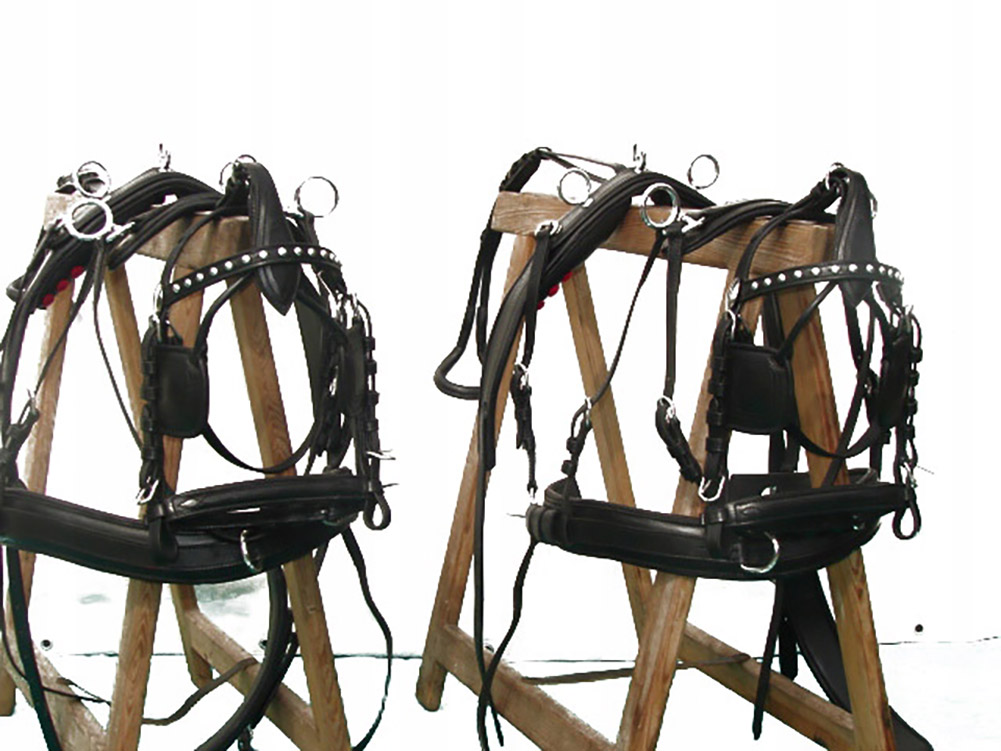 UPRZĄŻ NA PARĘ KUCY