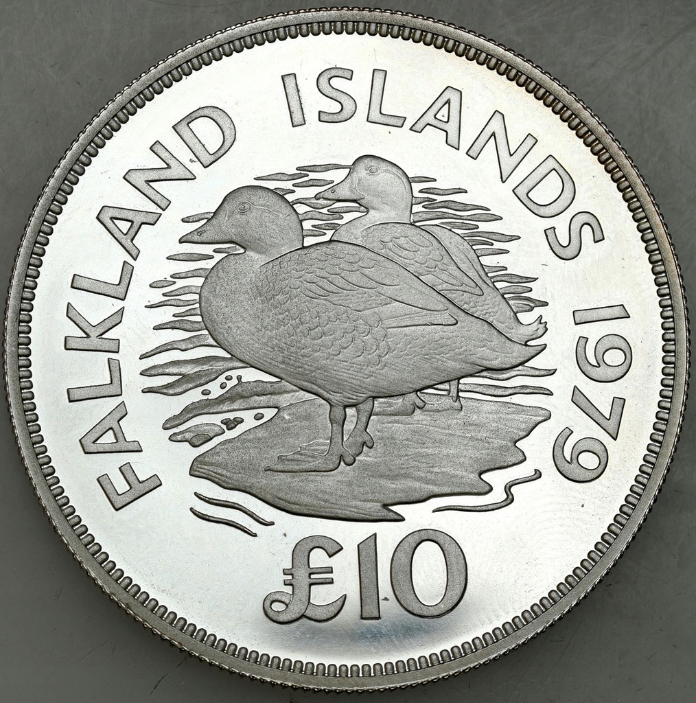 Falklandy 10 funtów, 1979 Torpedówka – SREBRO