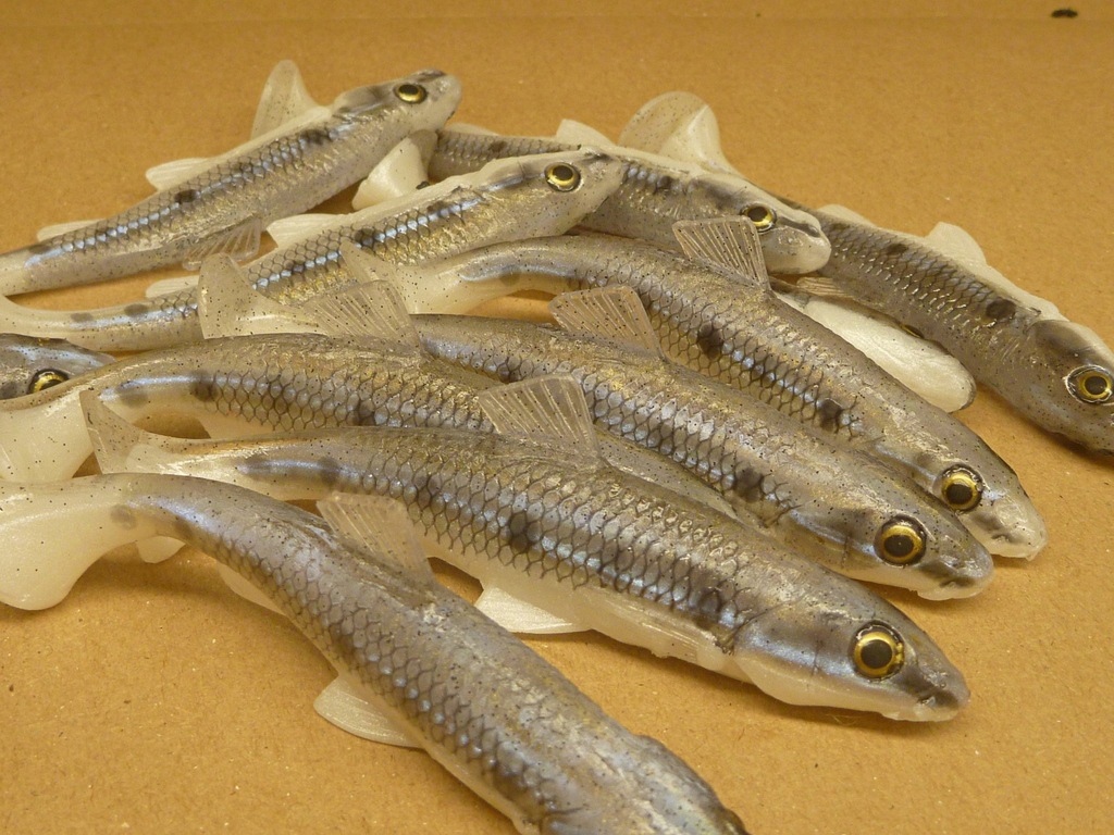 Guma Tomy's Bait Realistic KIEŁB 10cm - 13175152744 - oficjalne ...