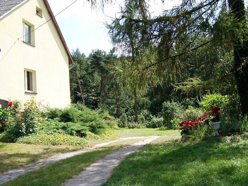 Dom, Tumlin-Wykień, Miedziana Góra (gm.), 230 m²