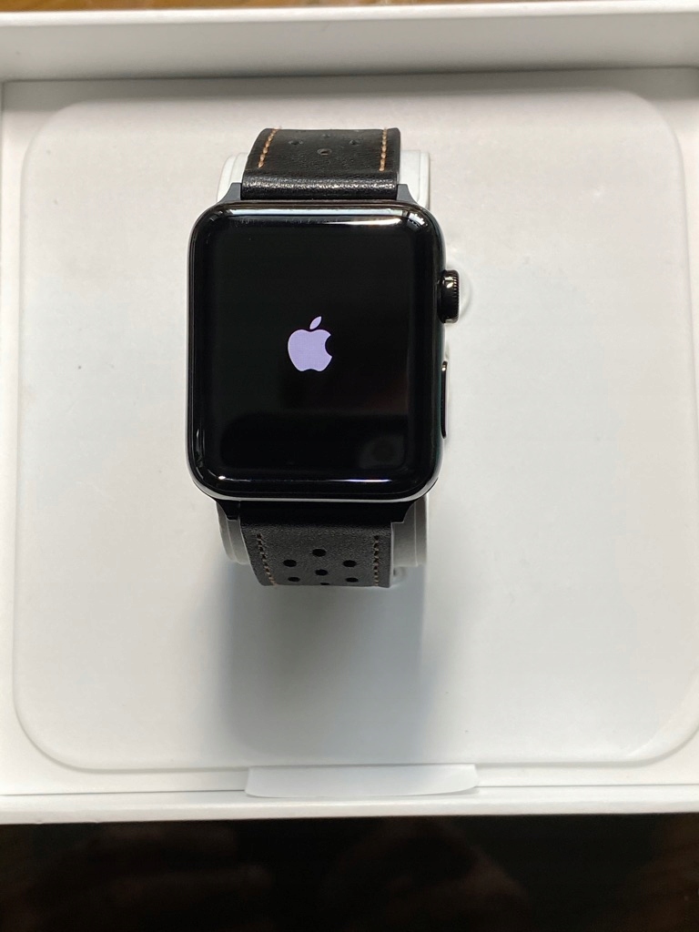 apple watch sim ee