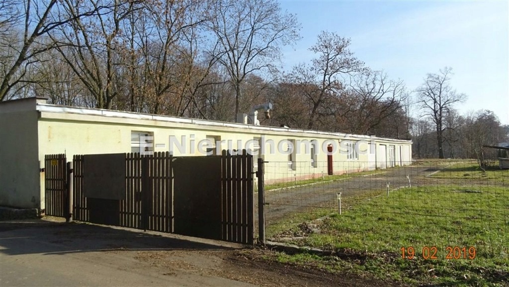 Fabryka, Pęcław, Pęcław (gm.), 235 m²