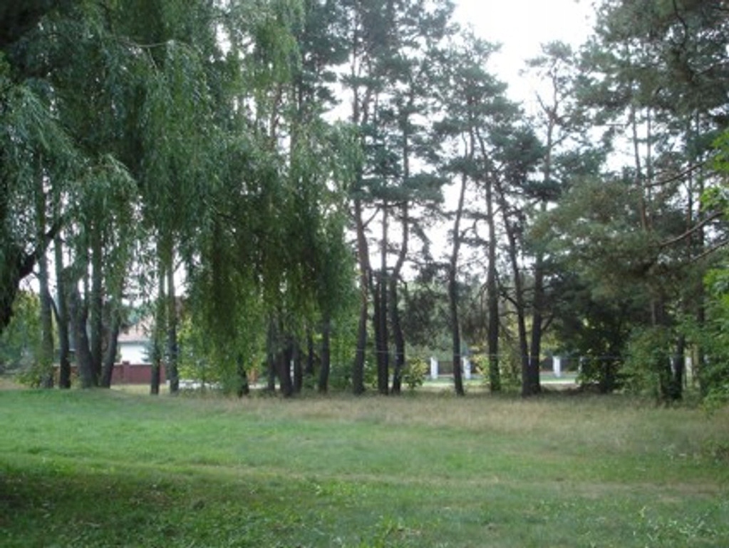 Działka, Ostrów Mazowiecka, 149524 m²