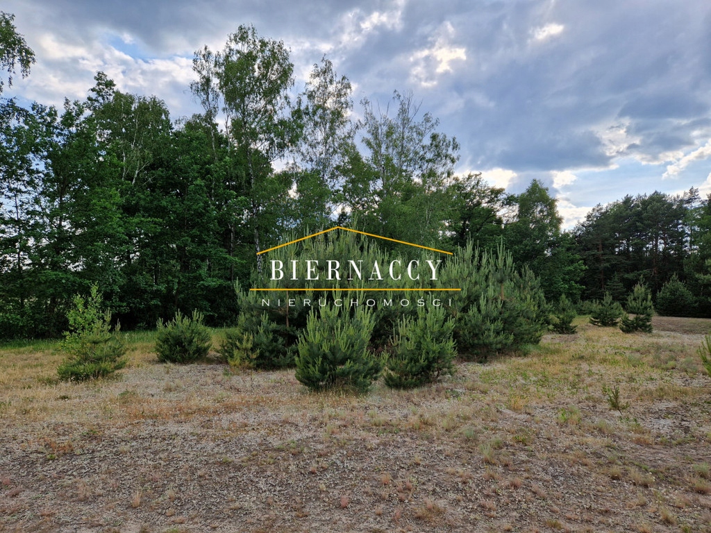 Działka, Nowe Drozdowo, 1000 m² 13860274448 oficjalne archiwum Allegro