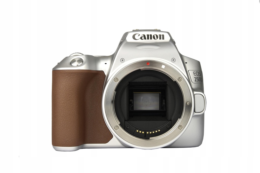 Lustrzanka Canon EOS 250D SL + 18-55S 3461C001 korpus + obiektyw