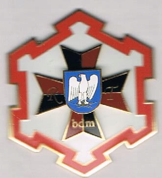 1 Batalion Drogowo-Mostowy Dęblin