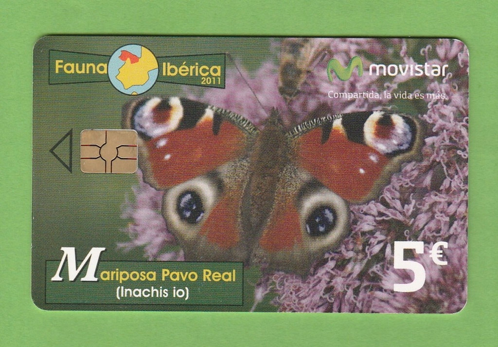 HISZPANIA Fauna Iberica motyl