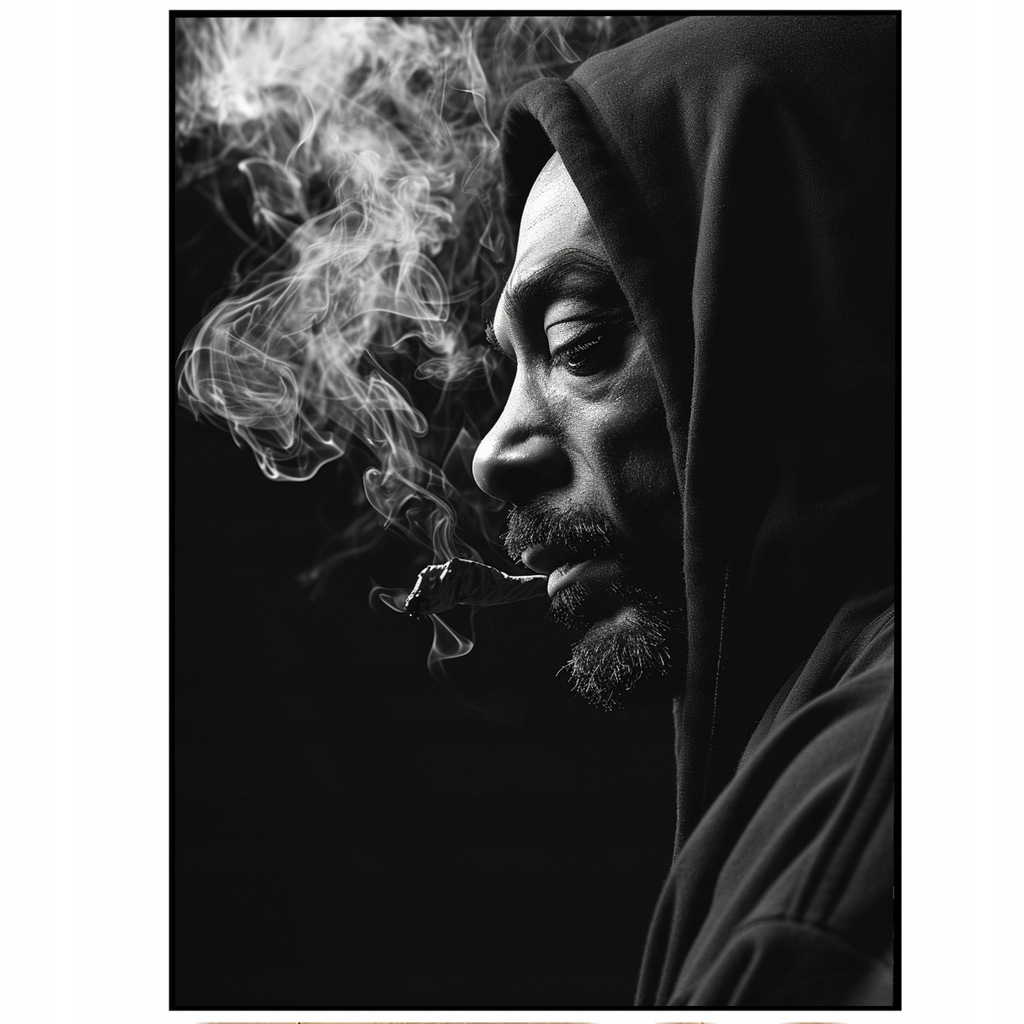 Plakat HIP HOP AMERYKAŃSKI RAP Snoop Doog , Wu Tang Clan, Nas , WYBÓR 30x40