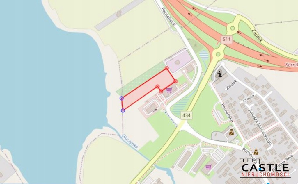 Działka, Kórnik, Kórnik (gm.), 7000 m²