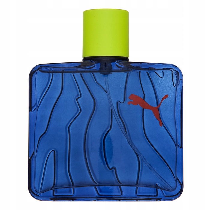 Puma Animagical Man Woda toaletowa spray 60ml