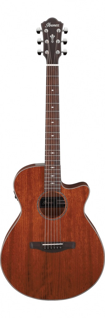Ibanez AEG220-LGS Natural Low Gloss gitara