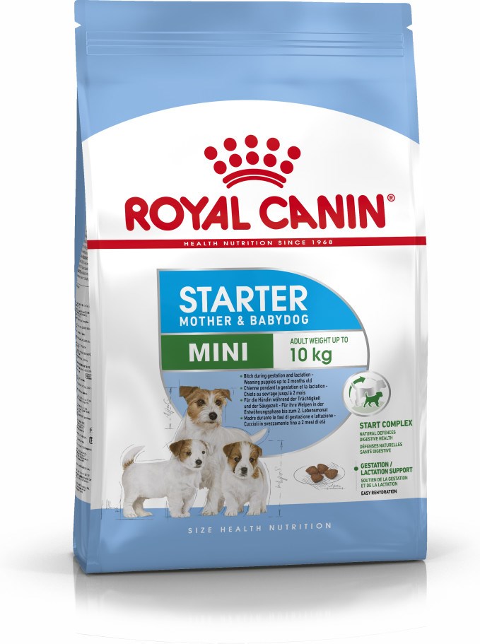 ROYAL CANIN Starter Mini Mother & Babydog - sucha karma dla szczeniąt i suk