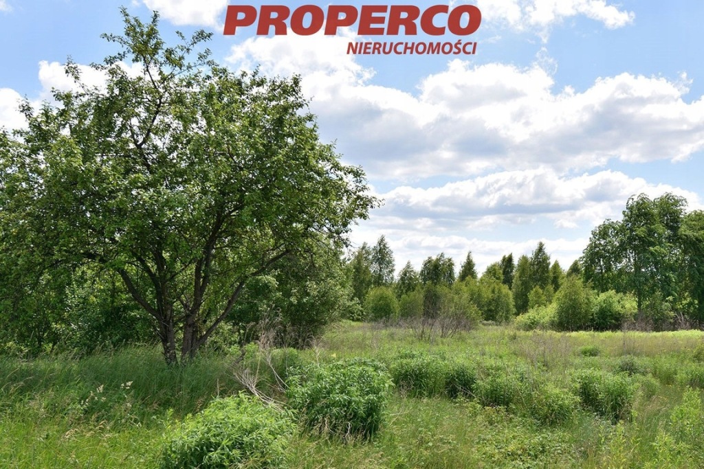 Działka, Radlin, Górno (gm.), 1321 m²