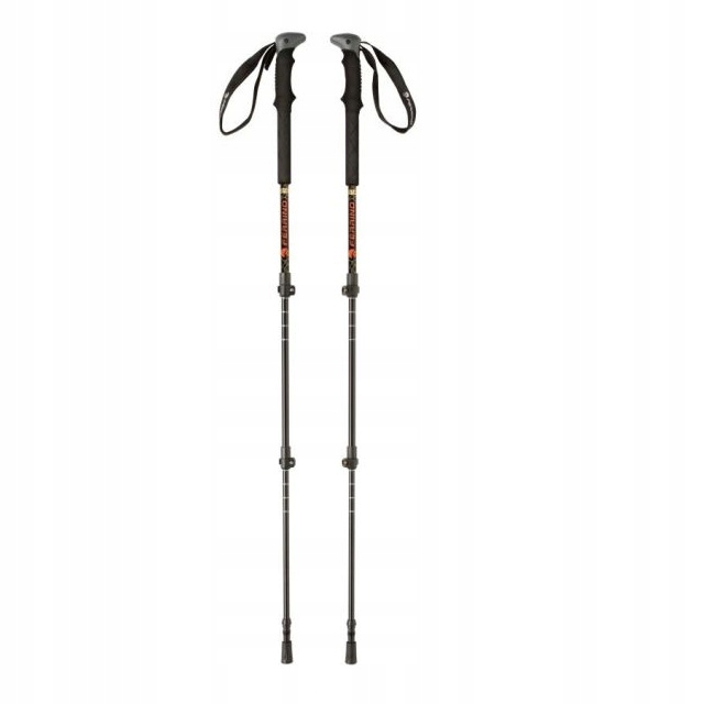 Kije trekkingowe Nordic Walking FERRINO Mustang