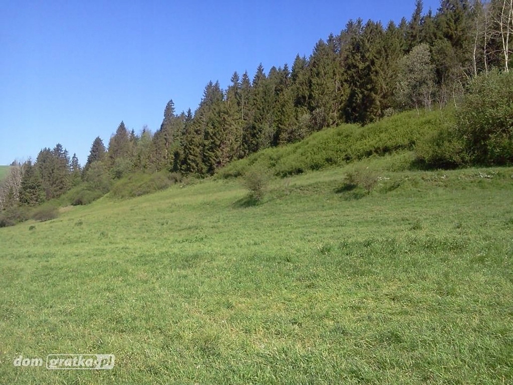 Działka, Kacwin, 35000 m²