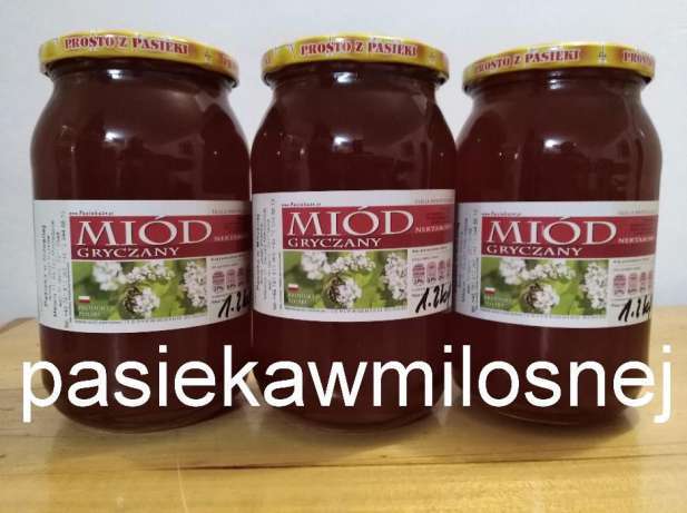 Miód - Dzień z Pszczelarzem - Pasieka w Miłosnej