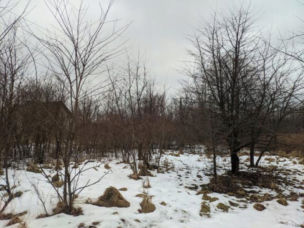 Działka, Balin, Chrzanów (gm.), 5001 m²