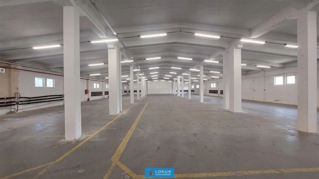 Magazyny i hale, Łódź, Widzew, 700 m²