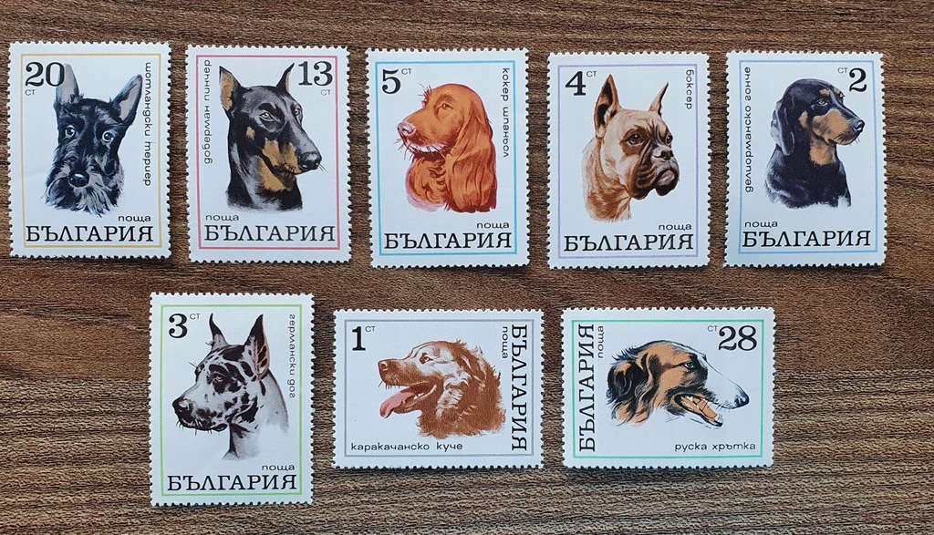 Fauna - Pies - Psy - Bułgaria