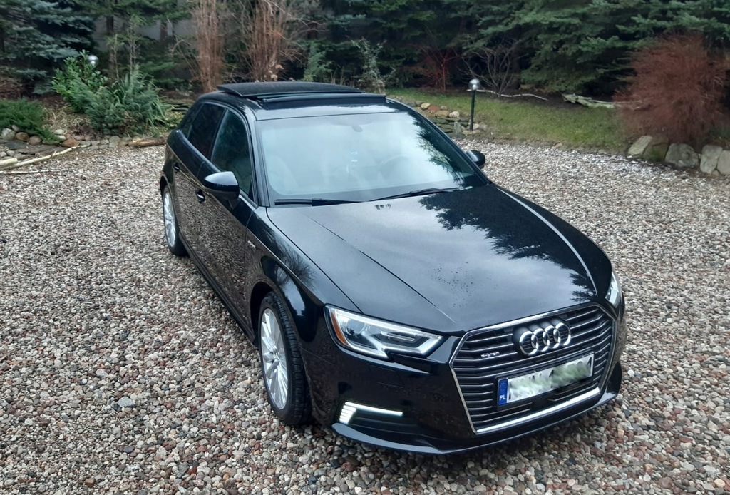 Купить AUDI A3 1.4 TFSI e-tron 205 л.с. кожаная стеклянная крыша!: отзывы, фото, характеристики в интерне-магазине Aredi.ru