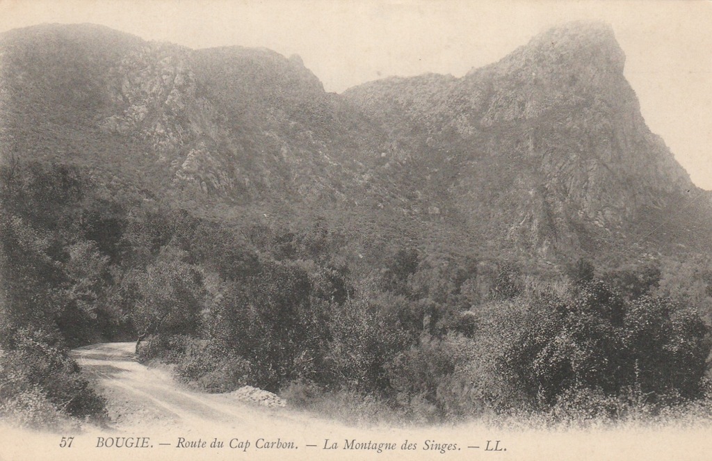 1453.Algieria Bougie,Widok na Góry