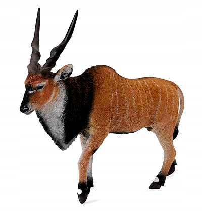 ANTYLOPA OLBRZYMIA ELAND