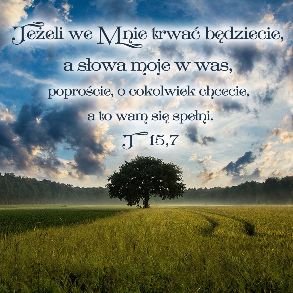 Magnes CYTAT z PISMA ŚWIĘTEGO, Biblii J15,7