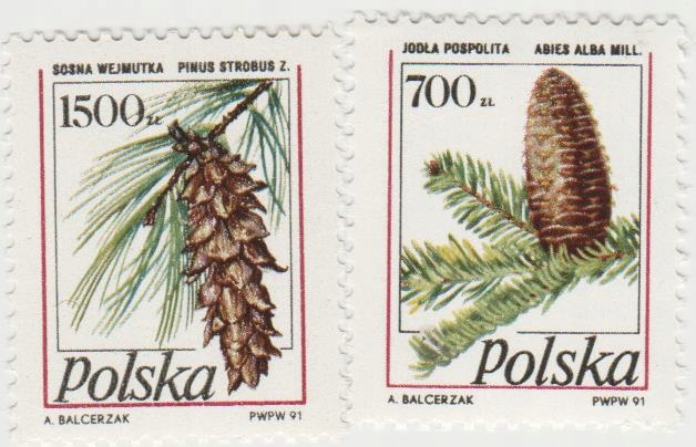 Polska Fi. 3164-65** Owoce drzew iglastych