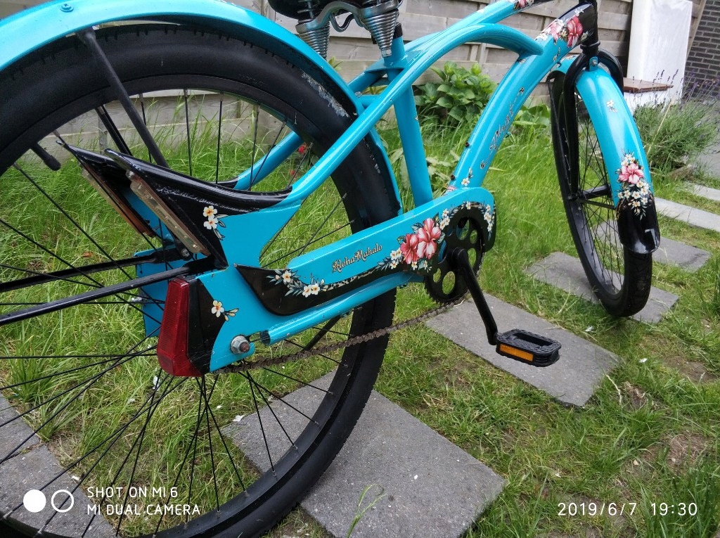 phat aloha mahalo beach cruiser