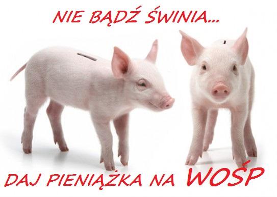 NIE BĄDŹ ŚWINIA, DAJ PIENIĄŻKA NA 24 FINAŁ WOŚP...