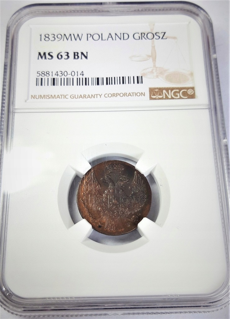 Купить 1 грош 1839 года - NGC MS63 - КРАСИВАЯ И РЕДКАЯ: отзывы, фото, характеристики в интерне-магазине Aredi.ru