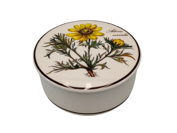 Pojemnik, puzderko Villeroy & Boch. Botanica.