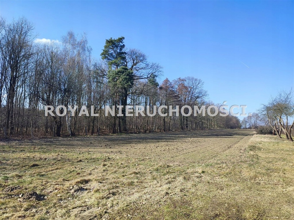 Działka, Pławniowice, 2680 m²