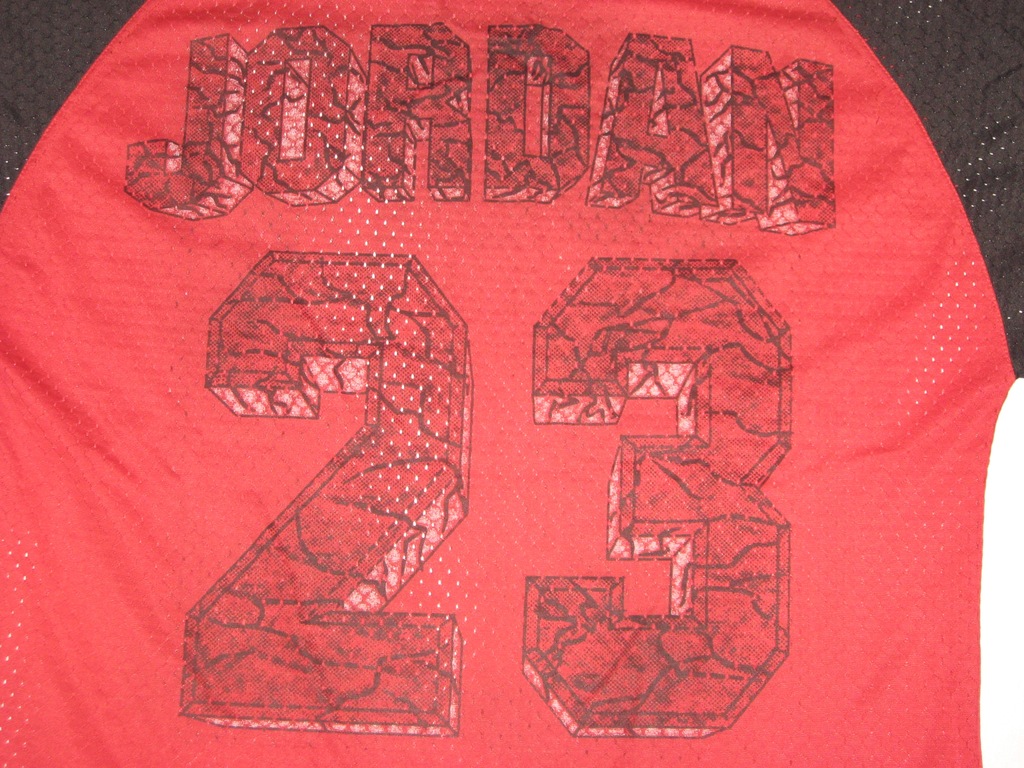 koszulka t-shirt dziurkowany Michael Jordan 23