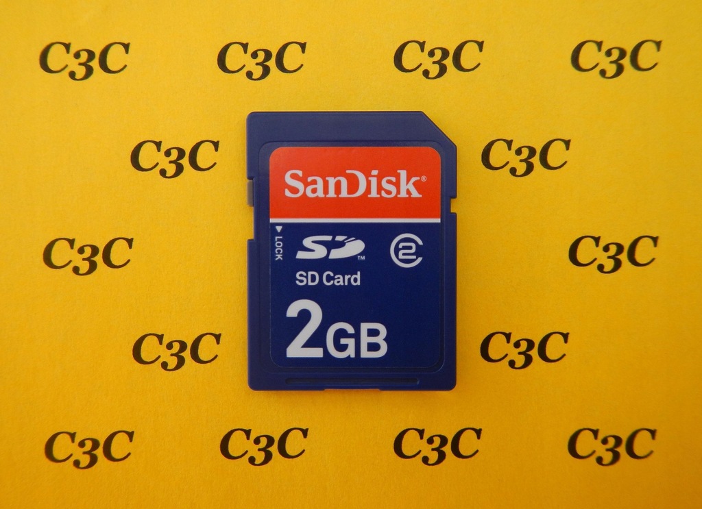 SD 2 GB --- SanDisk ---