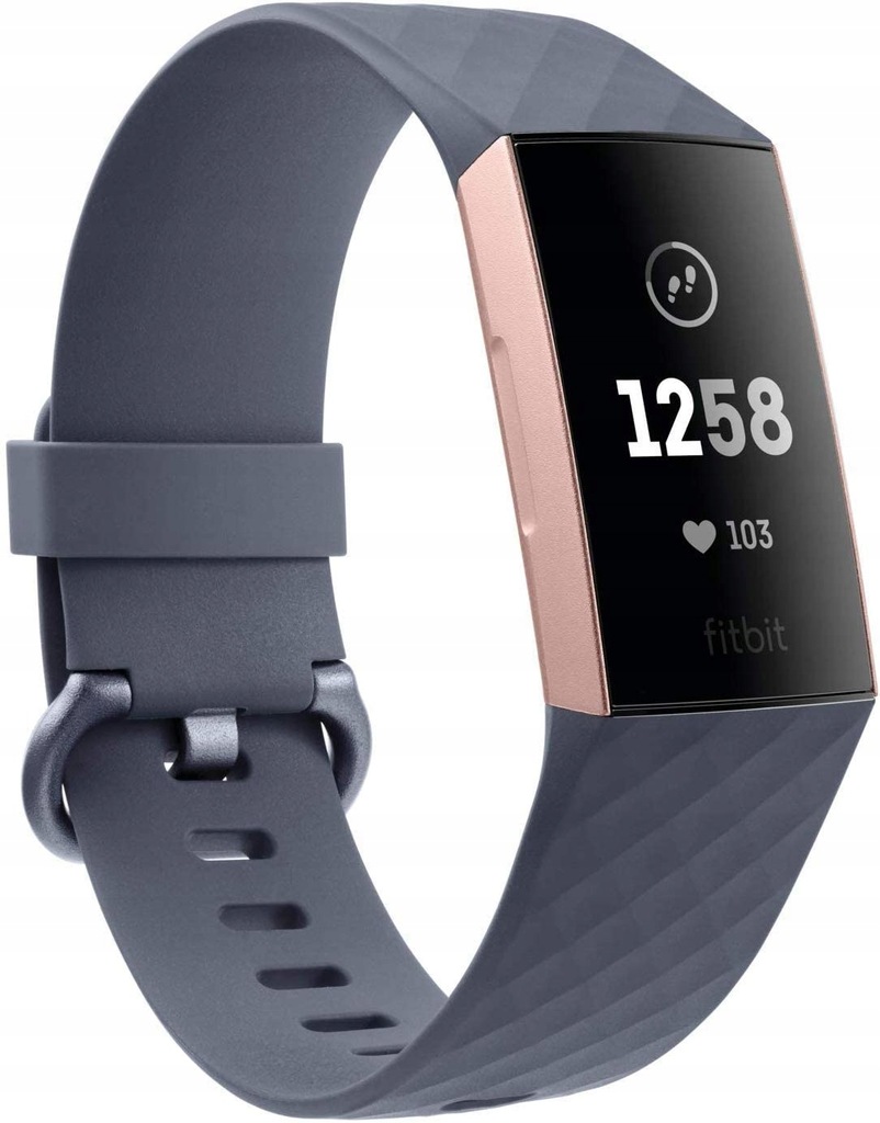 Smartwatch Fitbit Charge 3 SZARY 3C-244