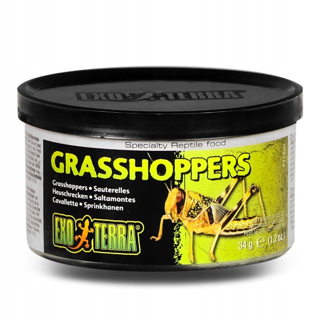 EXO TERRA Grasshoppers - pokarm w puszce konik pol