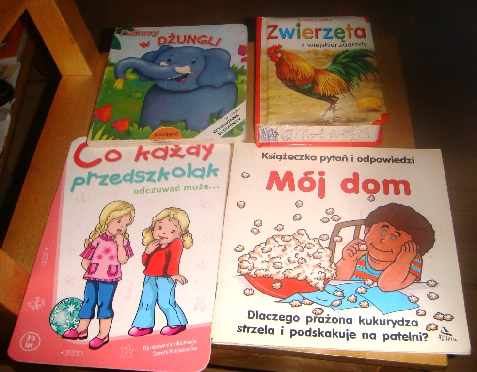 Książki dla dzieci - zestaw nr 4