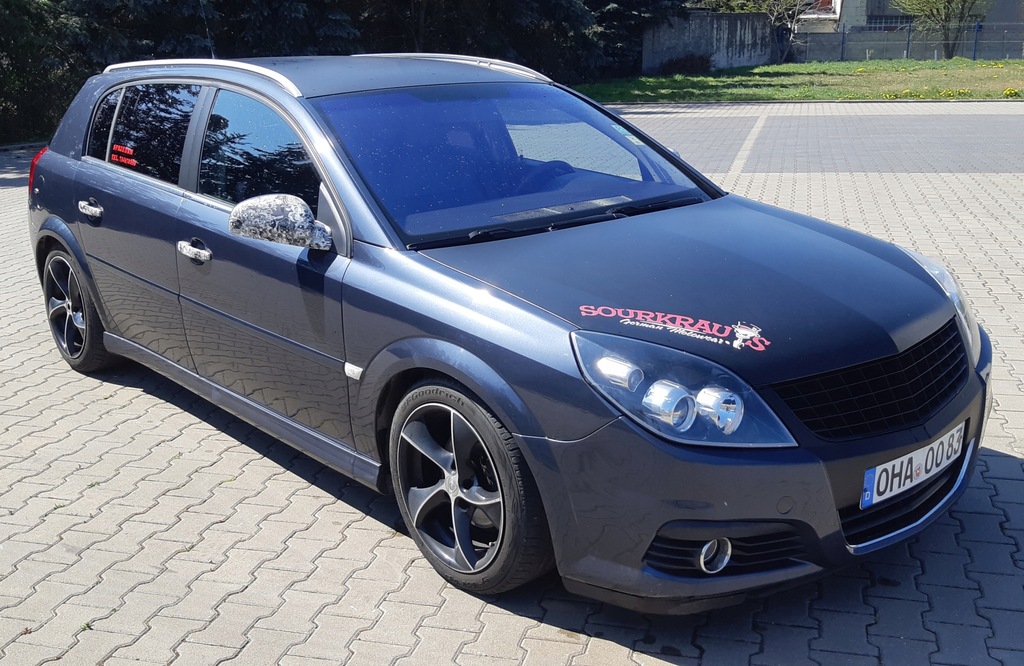 Opel Signum 1 9cdti 07r Zadbany Tuning Oficjalne Archiwum Allegro