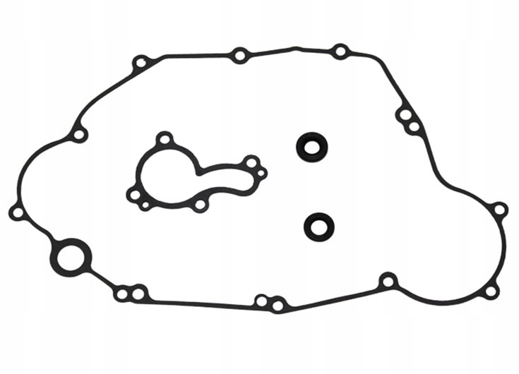 Nachman Zestaw Naprawczy Pompy Wody Kxf 450 06-08