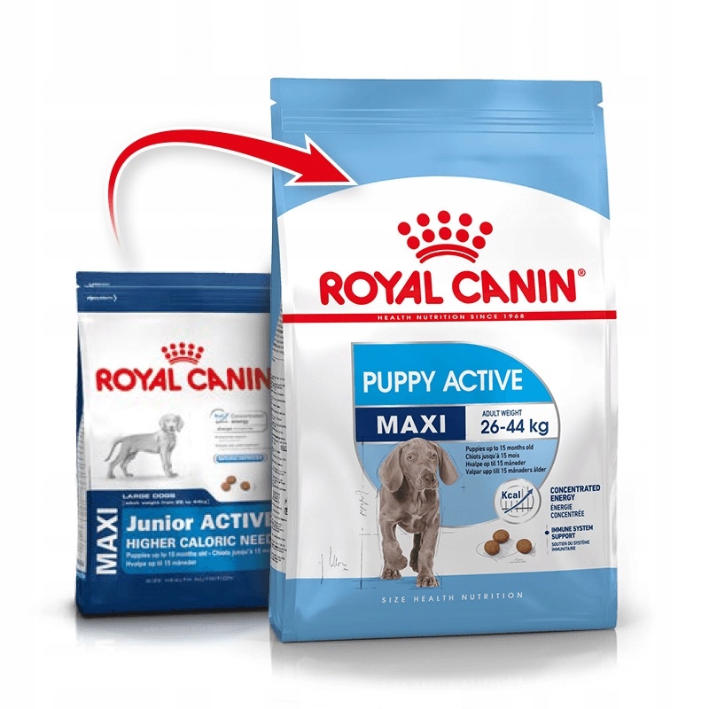 ROYAL CANIN Maxi Puppy Active 15 kg