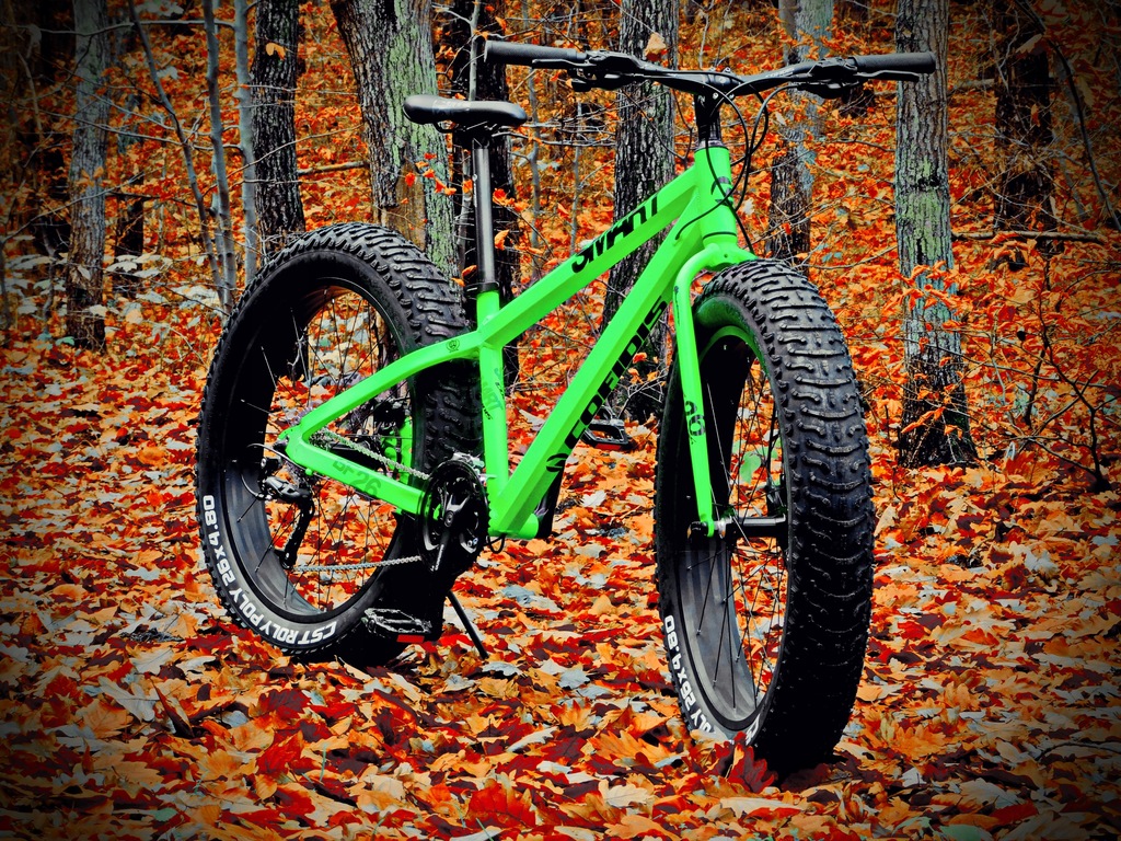 smartway fat bike