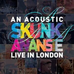 Skunk Anansie - Live In London